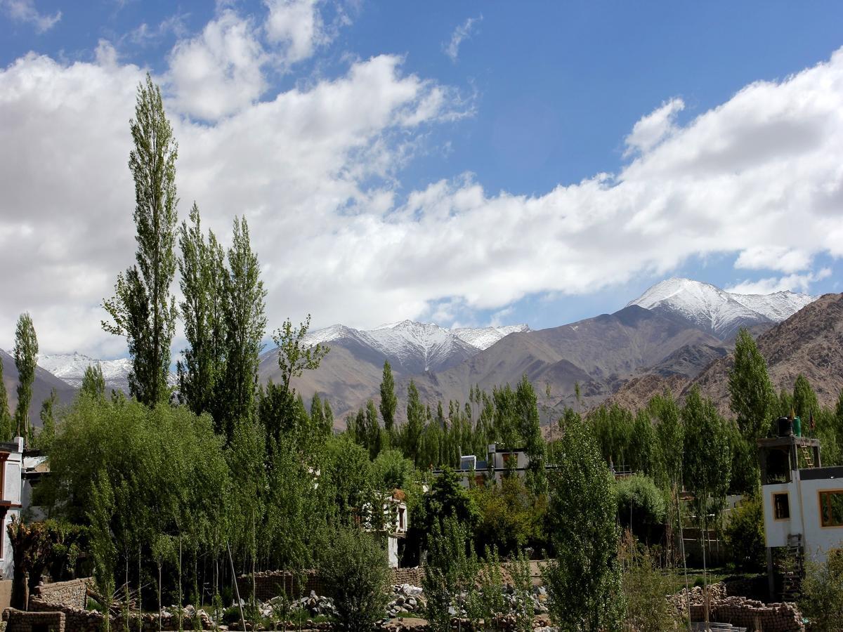 Hotel Mahay Palace Leh Kültér fotó