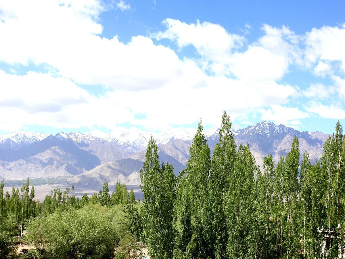 Hotel Mahay Palace Leh Kültér fotó