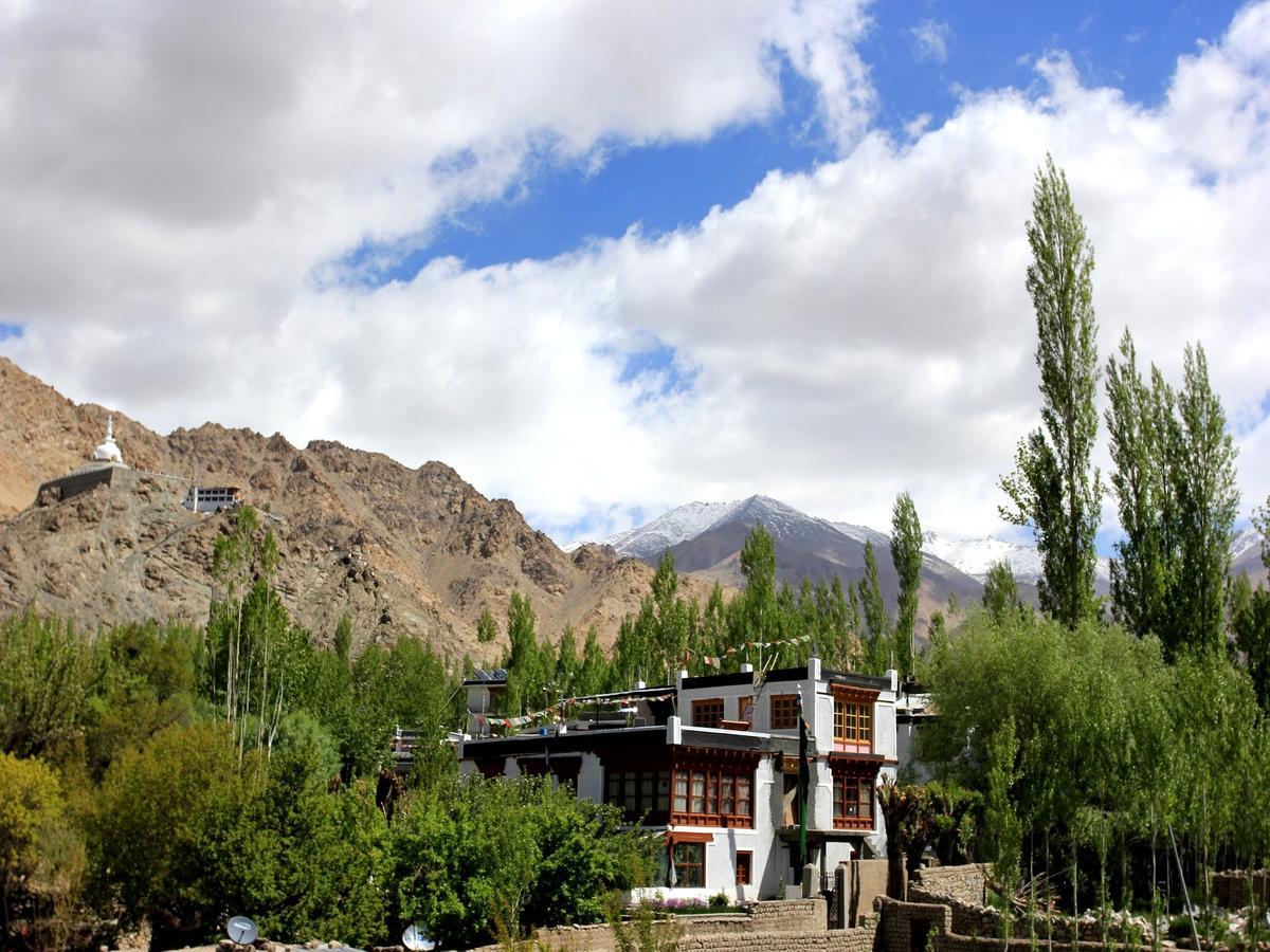 Hotel Mahay Palace Leh Kültér fotó