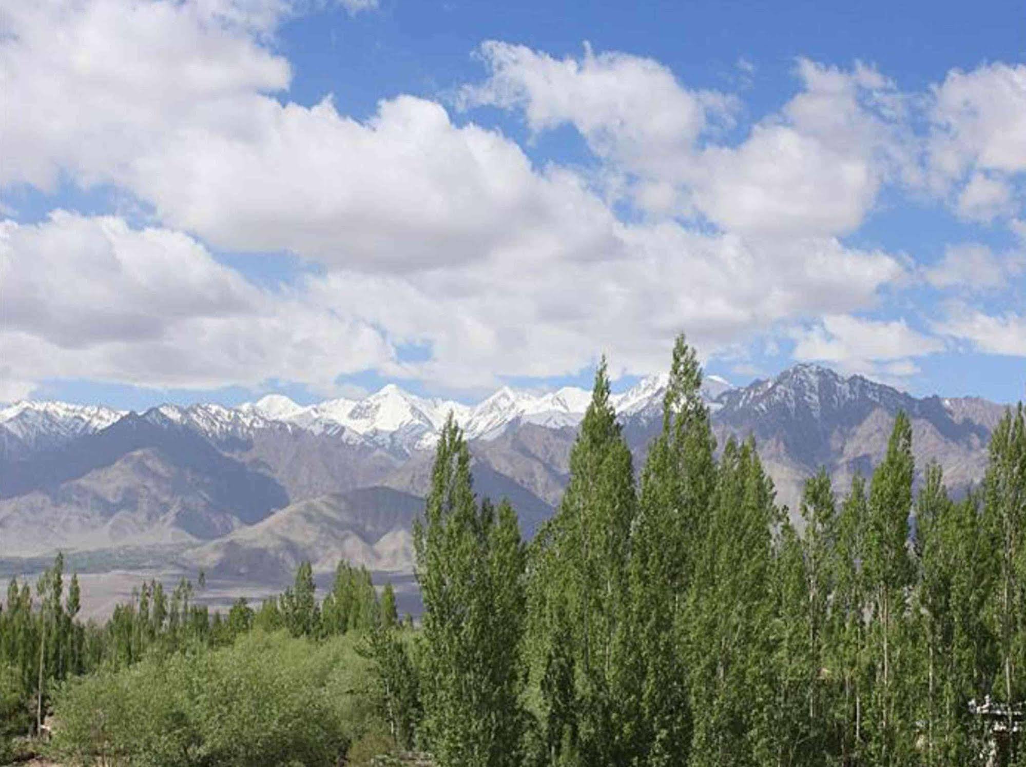 Hotel Mahay Palace Leh Kültér fotó